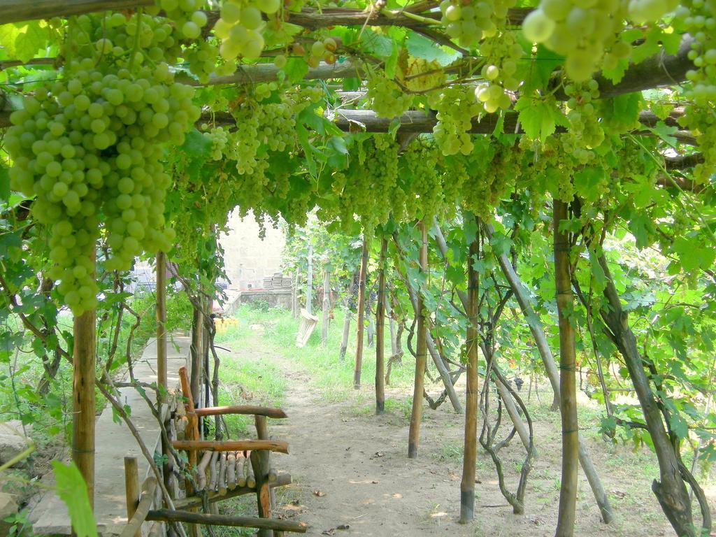 Albergo 'La Vigna' Procida Exterior foto